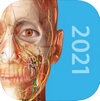 2021人体解剖学图谱 v2020.0.73