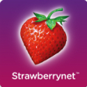 草莓网  v1.1.0.1